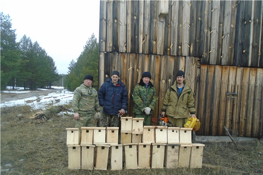 Алатырское лесничество обеспечит жильем лесных птиц