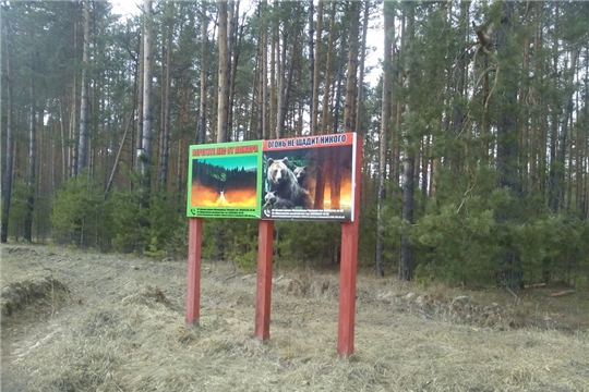 В Ибресинском лесничестве активно принимают противопожарные меры