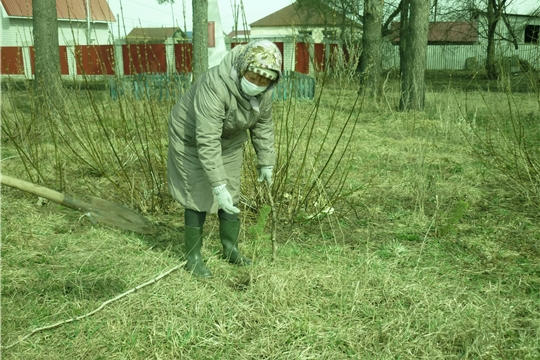 Село Туваны Шумерлинского района присоединилось к Международной акции «Сад памяти»