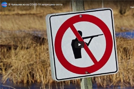 В Чувашии из-за COVID-19 запрещена охота