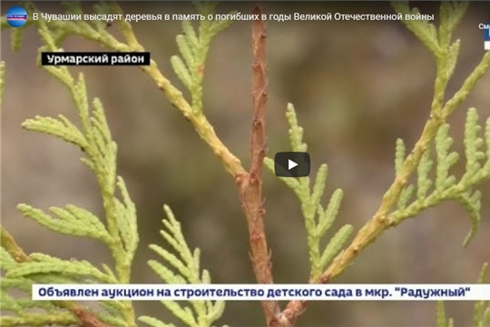 В Чувашии высадят деревья в память о погибших в годы Великой Отечественной войны