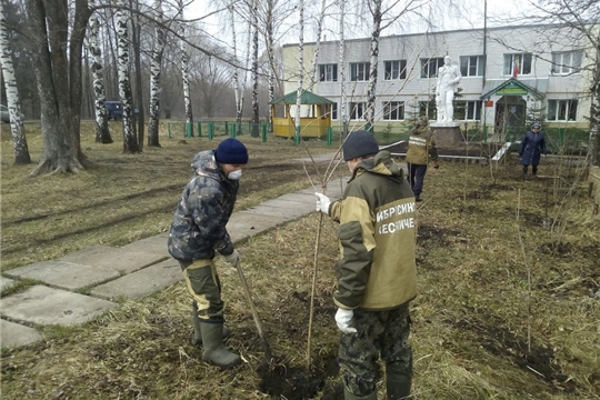 Калины и рябины – в память о земляках-ветеранах