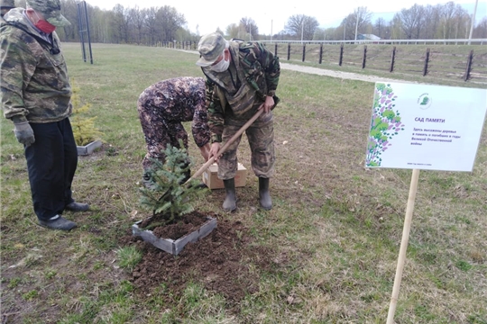 Сад памяти в Алатырском районе