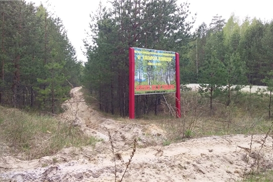 В Алатырском лесничестве продолжаются противопожарные мероприятия