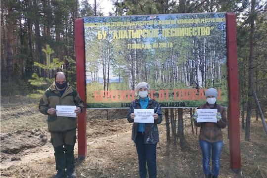 Работники Алатырского лесничества присоединились к акции «Мы охраняем лес от пожаров, вы ради леса останьтесь дома»