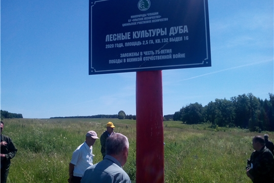 В Опытном лесничестве прошел семинар-совещание