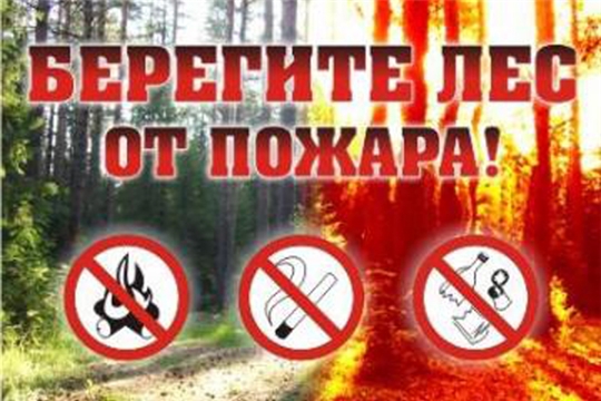 Минприроды ЧР просит жителей Чувашии строго соблюдать правила пожарной безопасности в лесу