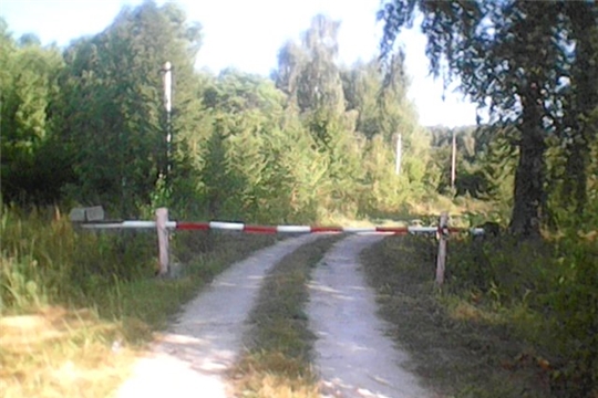 В Шумерлинском лесничестве установлено 12 шлагбаумов, ограничивающих пребывание граждан в лесах