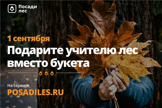 Движение ЭКА запустило ежегодную Всероссийскую акцию «Лес вместо букета»