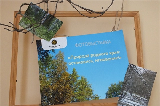 Фотовыставка «Природа родного края: остановись, мгновение!»