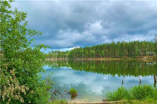 В 2021 году в России начнется второй цикл государственной инвентаризации лесов