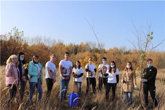 Волонтёры Победы из Алатыря приняли участие в акции «Лес Победы»