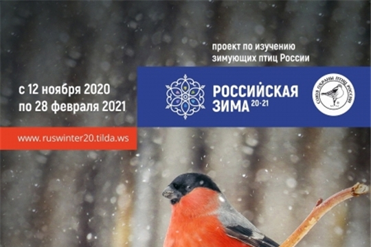 "Российская зима" - новый проект Союза охраны птиц России