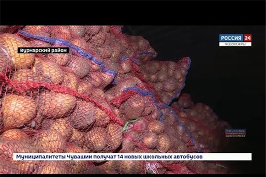 Чувашия увеличивает экспорт сельхозпродукции