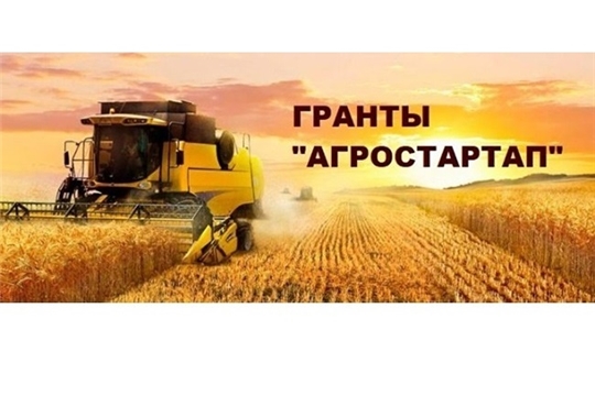 Итоги развития деятельности фермеров, получивших грант «Агростартап»