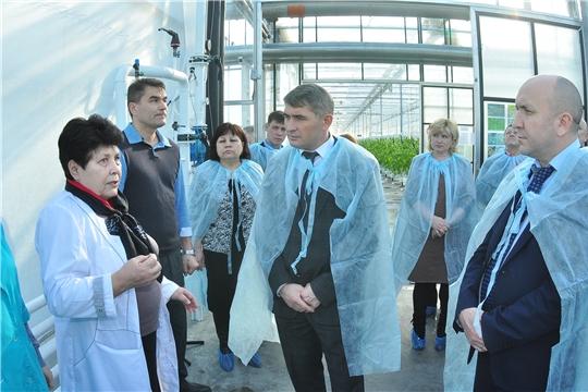 Врио Главы Чувашии Олег Николаев пообещал поддержку предприятиям отрасли тепличного овощеводства