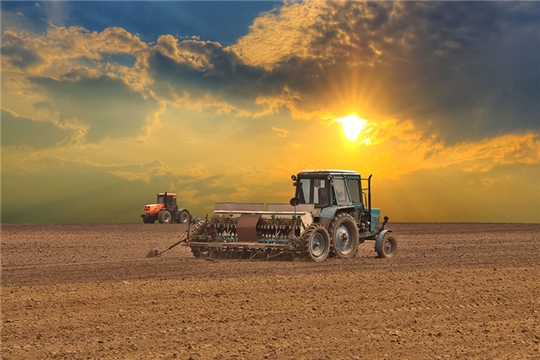 «Совместно с минсельхозом Чувашии мы реализуем единую стратегию развития АПК в нашем регионе» — Чувашский филиал «Центра Агроаналитики»