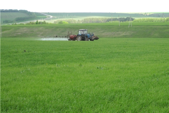 Аграрии Янтиковского района выполняют химпрополку и химзащиту посевов