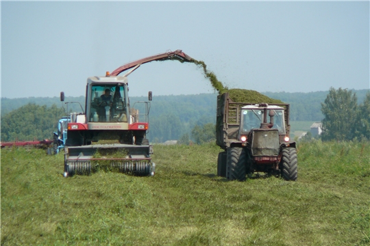 В двух муниципальных районах республики ведется скашивание многолетних трав на зеленую массу