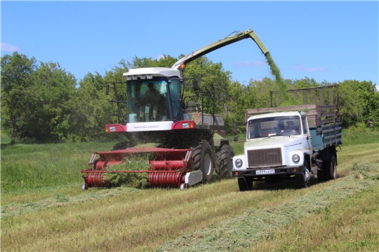 На 6 июля в полях республики скошено 73 тыс. га многолетних трав, или 73,8% к укосной площади