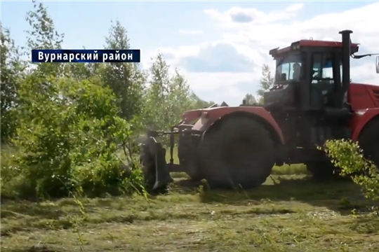 Освоение залежных земель