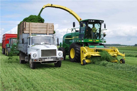 Плановые показатели по заготовке сена выполнены в 12 муниципальных районах
