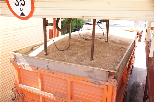 На хлебоприемные предприятия Чувашии начало поступать зерно нового урожая.
