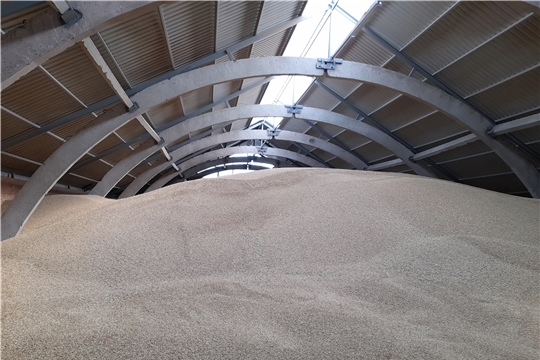 На 14 августа в республике намолочено 319 тыс. тонн зерна
