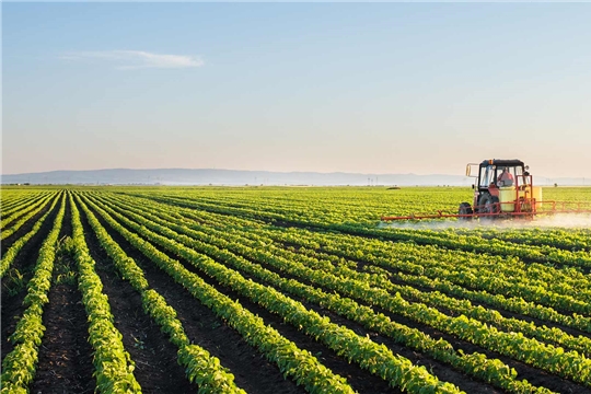 В 2020 году Россия может подняться на шестое место в мире по объему рынка пестицидов – эксперты «Августа»