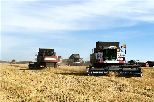 В хозяйствах республики намолочено более 700 тыс. тонн зерна