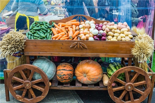 Минсельхоз РФ видит потенциал онлайн-торговли для сбыта фермерской продукции