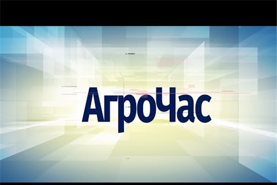 АгроЧас