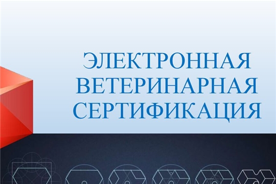 «Меркурий» повысил прозрачность продрынка, к 1 сентября оформлено 2,7 млрд ветсертификатов - Патрушев