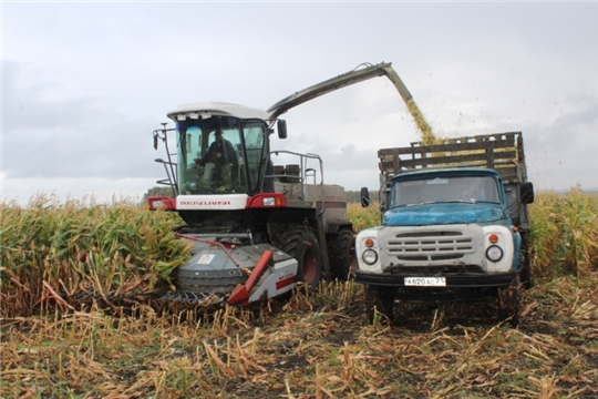 В СХПК «Комбайн» Яльчикского района приступили к уборке кукурузы