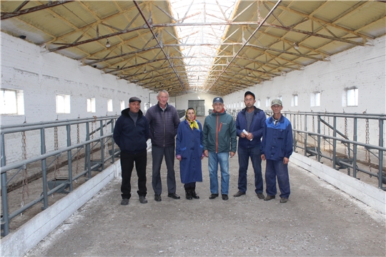 В СХПК «Комбайн» Яльчикского района прошел смотр готовности животноводческих ферм к зимовке скота