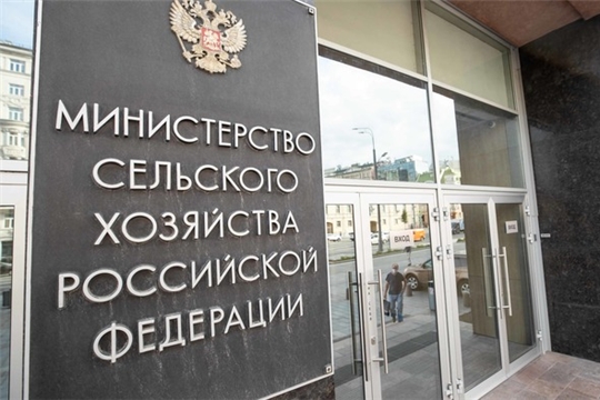 Минсельхоз РФ планирует перевести на дистанционный режим работы не менее 50% сотрудников
