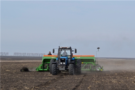Посев озимых зерновых культур в Чувашии превысил показатели прошлого года