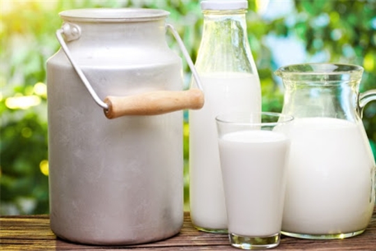 Сельхозпредприятия РФ к 5 октября увеличили реализацию молока на 5%