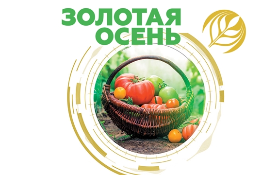 Призеры 22-й Российской агропромышленной выставки «Золотая осень  - 2020»