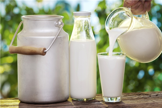 Объём реализации молока в сельхозорганизациях вырос на 5,9%