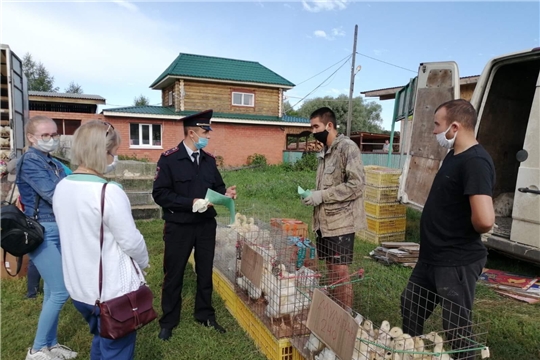 Рейды мобильных групп в Моргаушском районе продолжаются