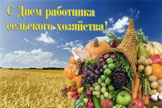 Поздравление Главы района - Председателя районного Собрания депутатов И.В. Николаева, и.о. главы администрации района А.Н. Матросова с Днем работника сельского хозяйства и перерабатывающей промышленности