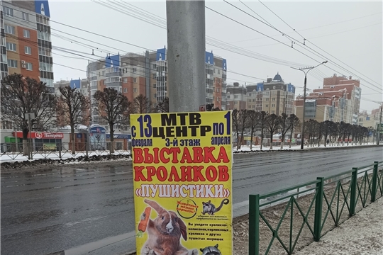 На территории Московского района г. Чебоксары выявлен факт незаконной расклейки объявлений