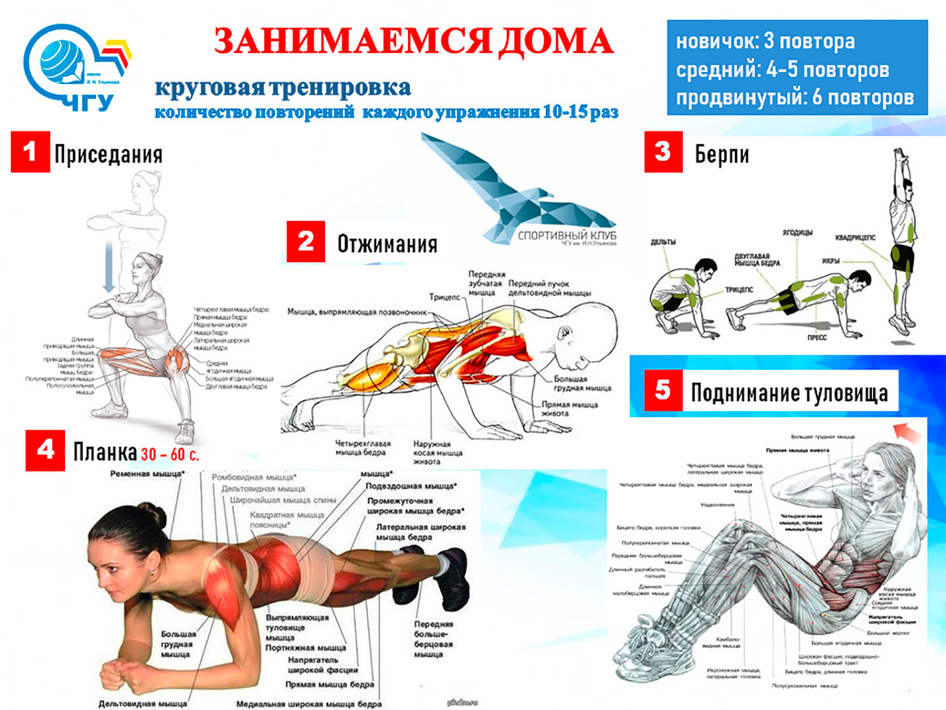 Приглашаем присоединиться к эстафете «Занимаемся дома» | Управа по  Московскому району администрации г. Чебоксары