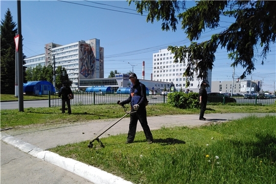Работники жилищно-коммунальной сферы приступают к покосу травы