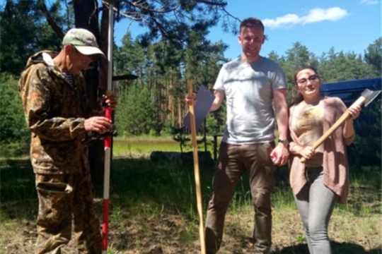 В лесном массиве поселка Сосновка идут подготовительные работы по созданию нового рекреационного места