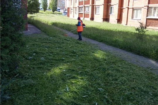 В столице Чувашии продолжается второй этап покоса травы