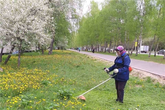 Работники жилищно-коммунального хозяйства начали третий этап покоса травы