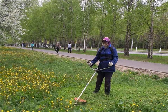 На городских улицах организована работа по покосу травы