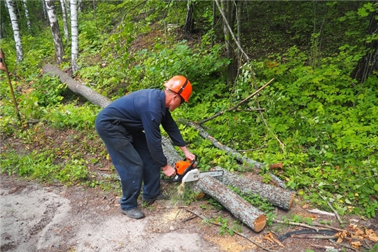 Работники чебоксарского предприятия организовали экологический субботник